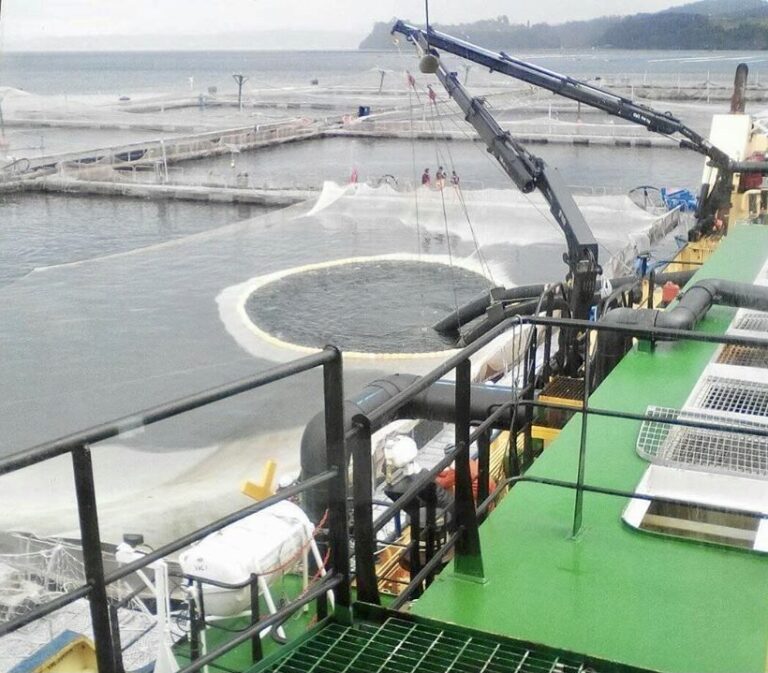 Chilean Supreme Court upholds fine for AquaChile