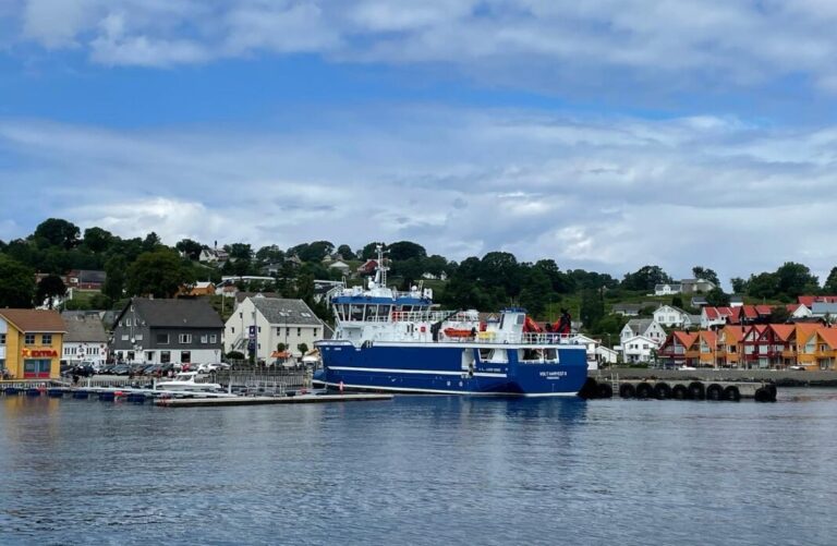 Price increase for the first August salmon