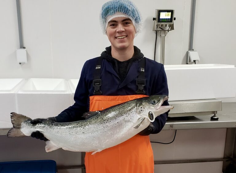 Canadian RAS salmon producer expands, sees re-entry into US market by fall