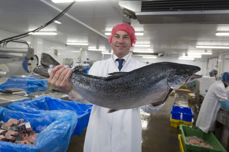 JCS Fish: ‘Unprecedented salmon price didn’t dampen demand’