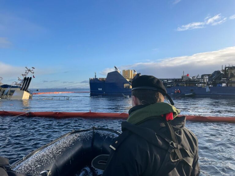 Clean up begins after wellboat carrying 180 tons of salmon sinks near Chile