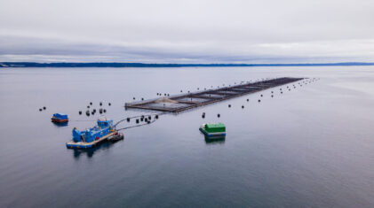 Mowi plant in Chile. Photo: Mowi