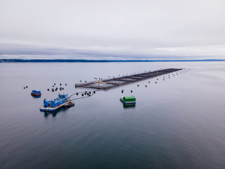 Chile: Subpesca launches technical review of salmon concession relocation requests