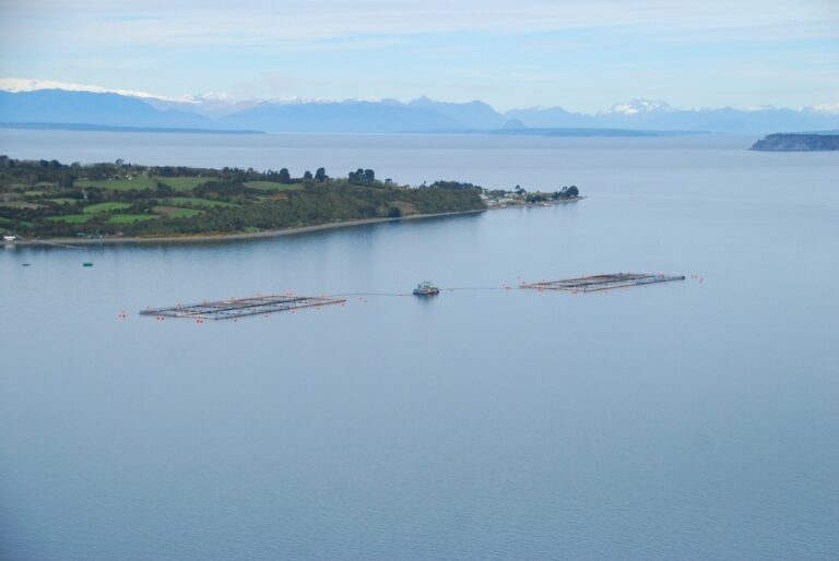 Salmones Antartica submits proposals to relocate part of its salmon operations