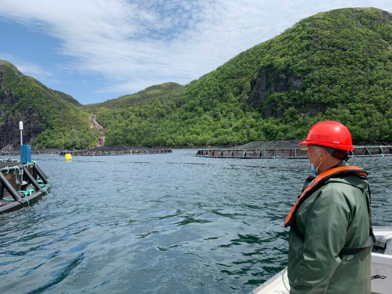 Future of Mowi’s operations in Atlantic Canada thrown into question as MD resigns