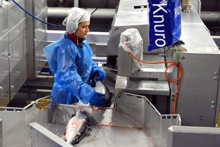 When does the salmon price break?