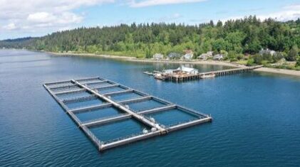 Photo: Washington Dept of Natural Resources