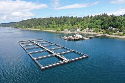 Breaking: Industry group sues Washington State over net pen ban