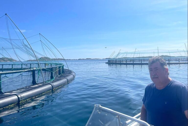 The most profitable salmon farmers in Norway revealed