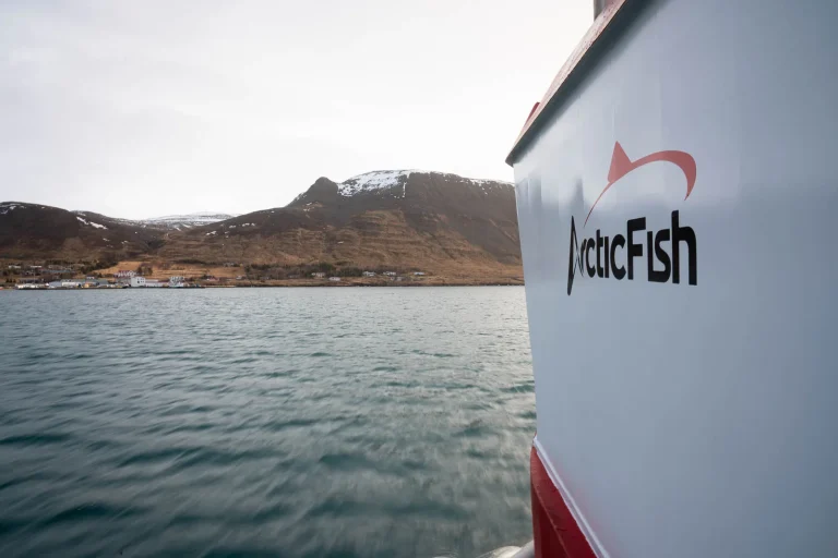 Iceland’s Competition Authority to investigate merger between Arnarlax and Arctic Fish