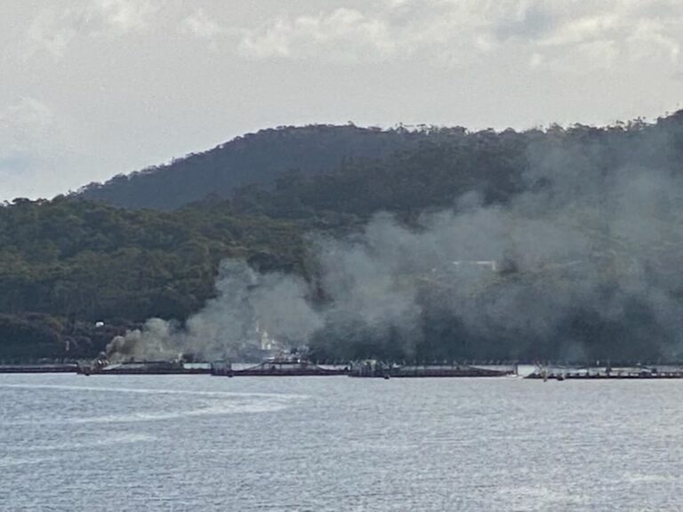 Tasmanian salmon farmer Tassal investigating fire
