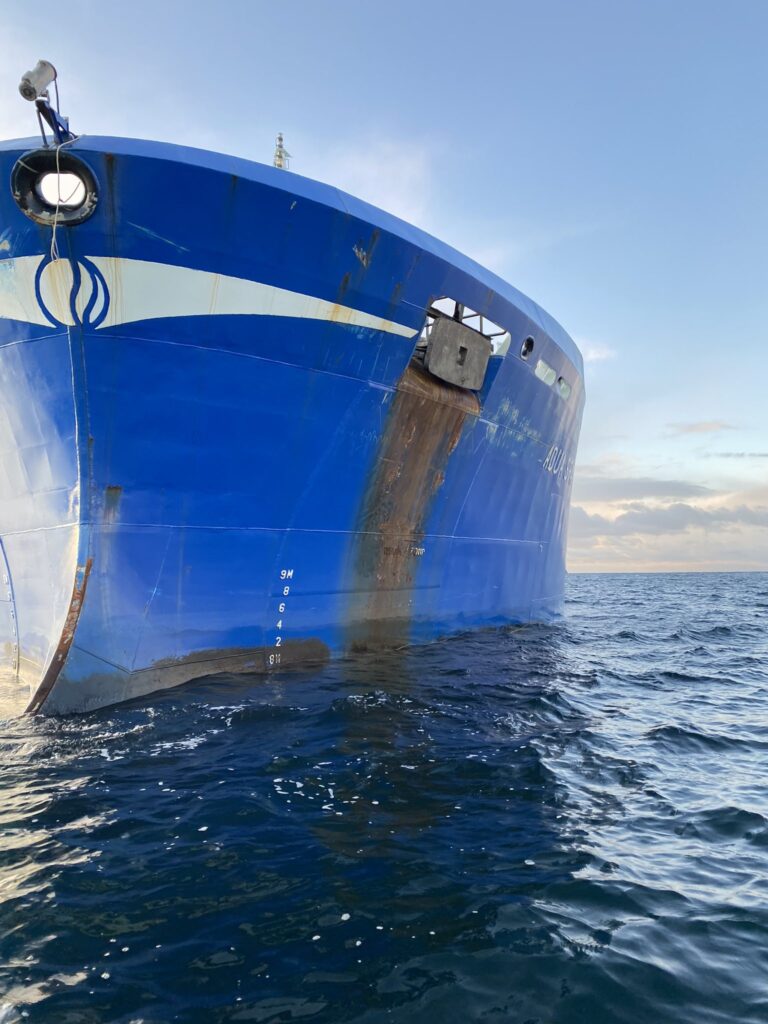 Anti-salmon activists block Tassal vessel in Long Bay