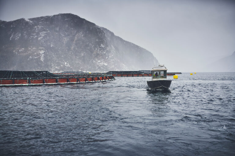 Marine Donut arriving in Atlantic Canada for sea trials