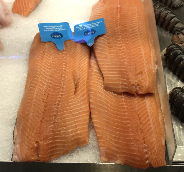 RAS in the running as Russia seeks to fill shortfall of 72,000 MT of salmon