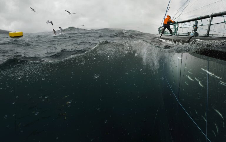 ScaleAQ boosted EBIT to €13.5 million in 2021