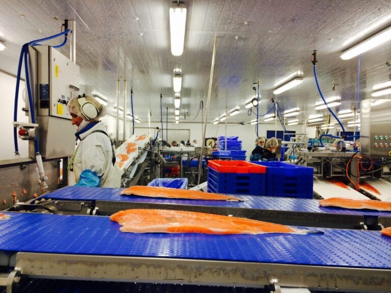 Third week in a row with falling salmon prices