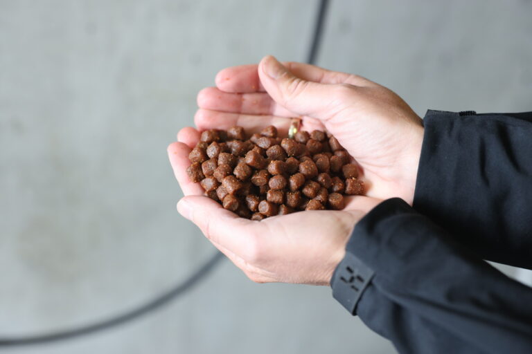 $250M raised in Series D financing to turbo charge Innovafeed expansion