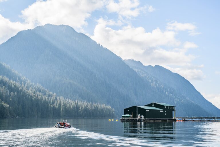 Salmon farmers join agriculture push to preserve North American trade deal
