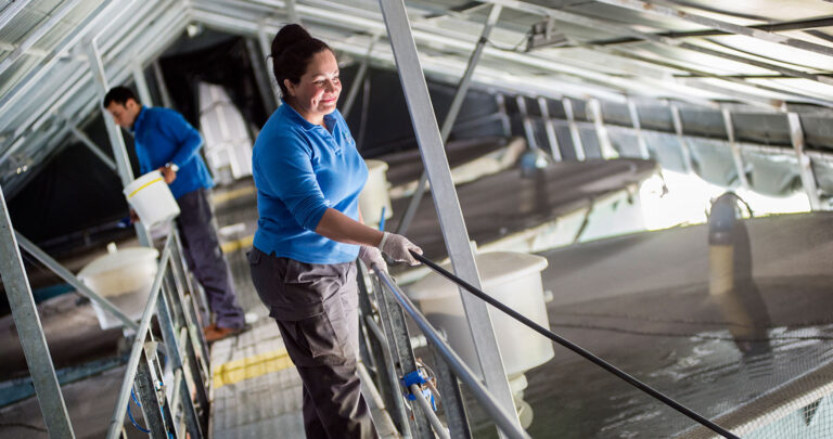 Chile’s Big 5 salmon producers hired 918 more workers in Q2