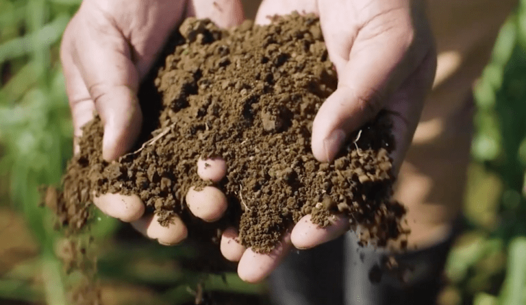 FishIT turns salmon waste into fertiliser