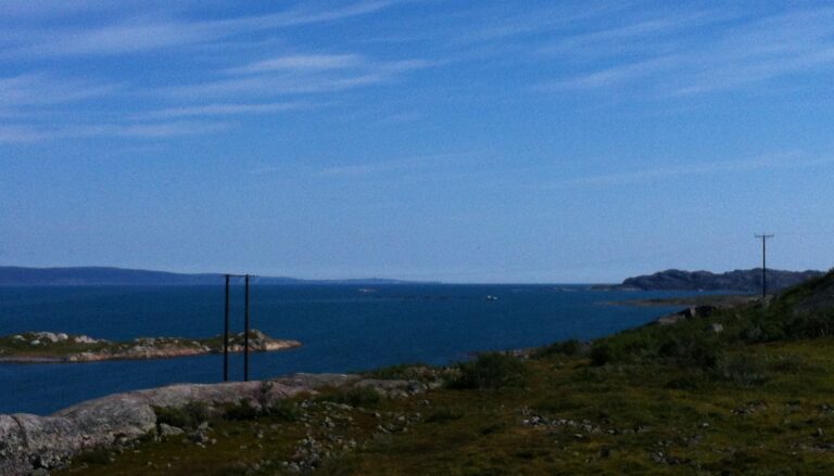 Salmon escape near Norwegian-Russian border