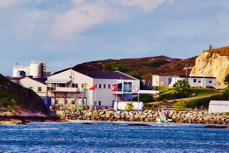 Cost inflation eats away at Mowi’s estimates