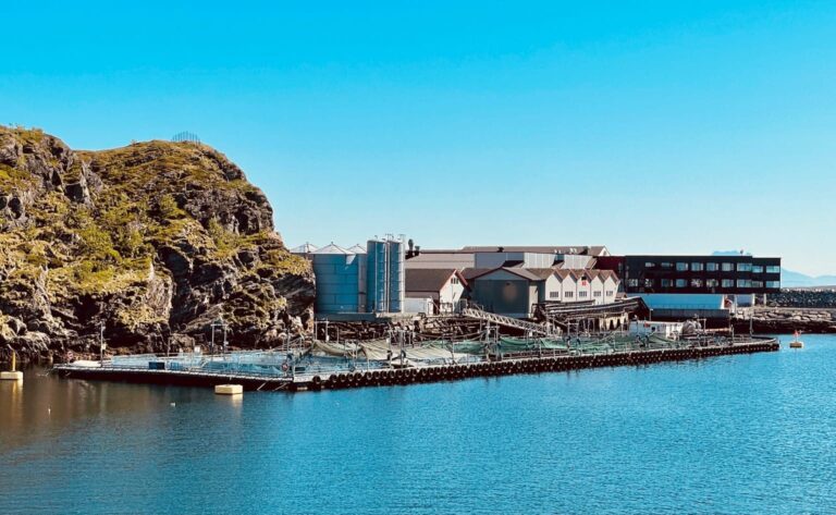 Nova Sea freezes €330 million investment in hatcheries and processing plant