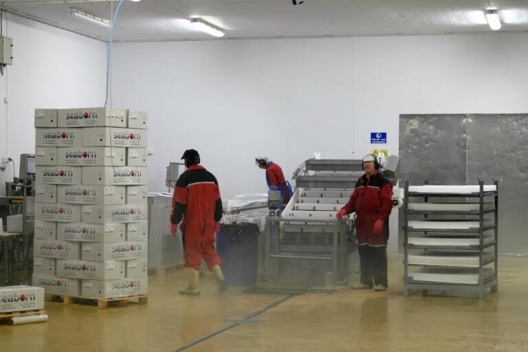 Norway exported €1.5 billion worth of seafood in October