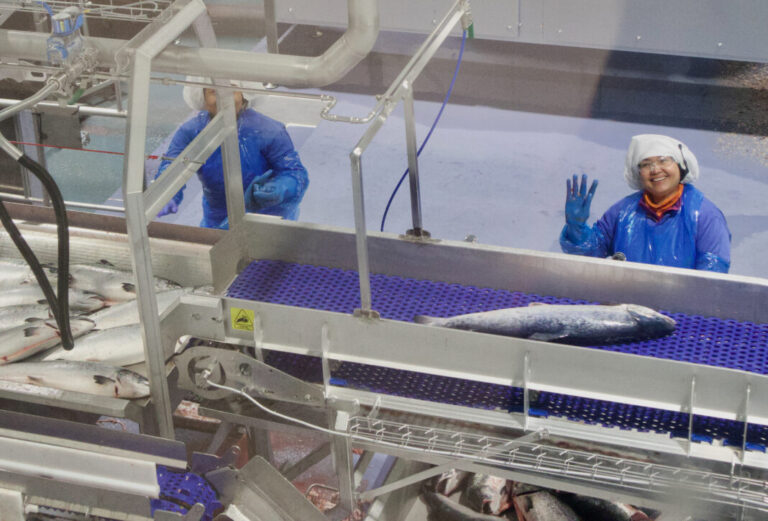 Rising spot price, but full stop on fixed price contracts after the tax shock