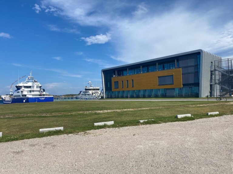 SalMar terminates €25 million purchase