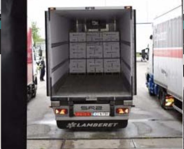 Armed robbers steal 18 tons of frozen salmon at a truck stop