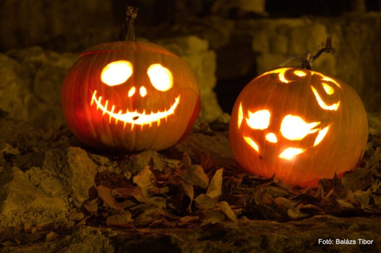 Weakening of the salmon price towards the Halloween weekend