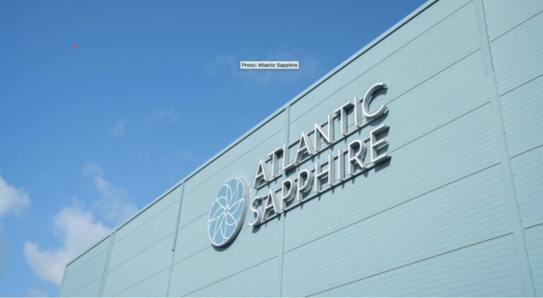 Atlantic Sapphire fixes temperature issue; harvests 365 metric tons of salmon for Q3