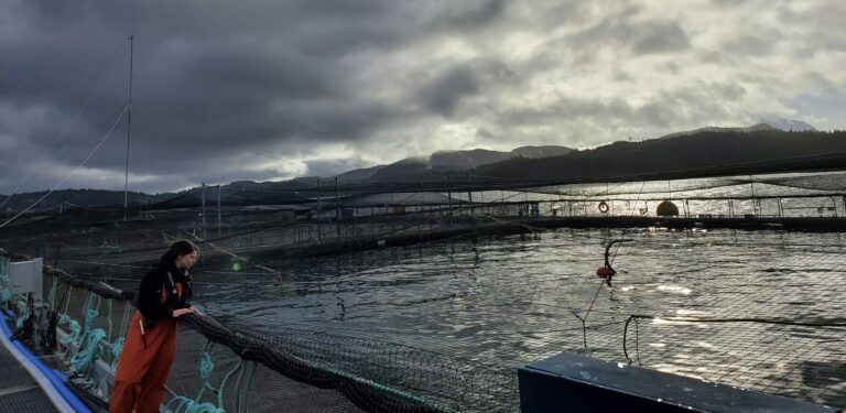 British Columbia salmon farmers: Development of transition plan is rushed