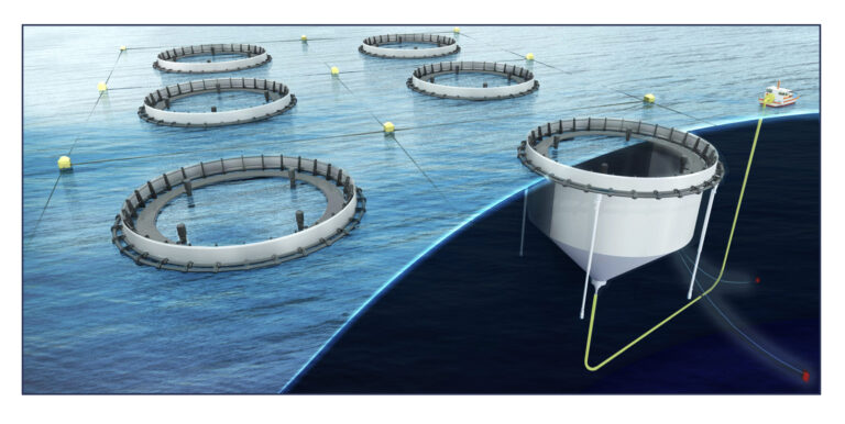 Scotland’s first semi-closed salmon farm project in jeopardy