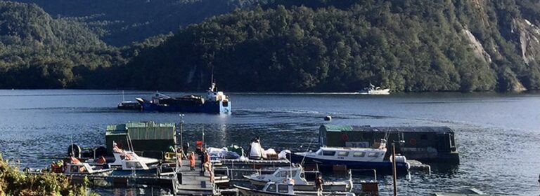 Maximum reached: Cooke Chile ordered to halt transfer of more fish into national park site