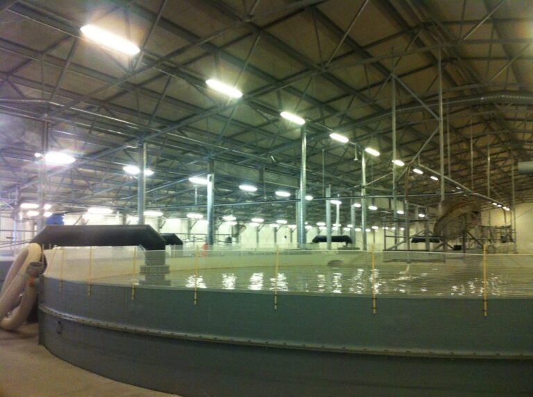 Grieg Seafood Finnmark freezes €190 million smolt project