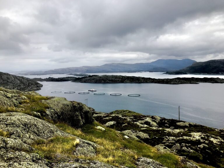 Norwegian locations were in a league of their own when Mowi raked in €240 million in the third quarter