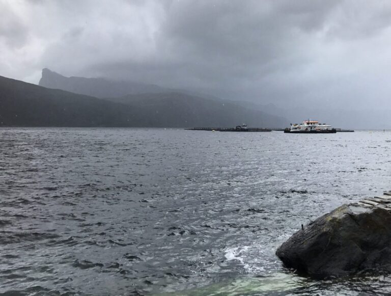 The tax screw is being tightened even harder. From now on, salmon farming will primarily strengthen the state’s finances