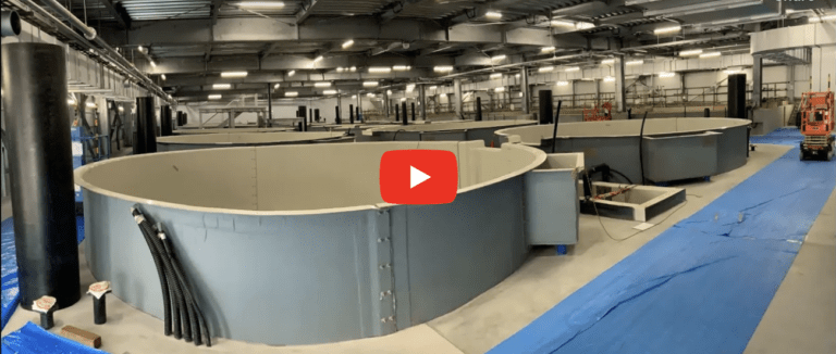 Proximar will raise €25 million in convertible bonds