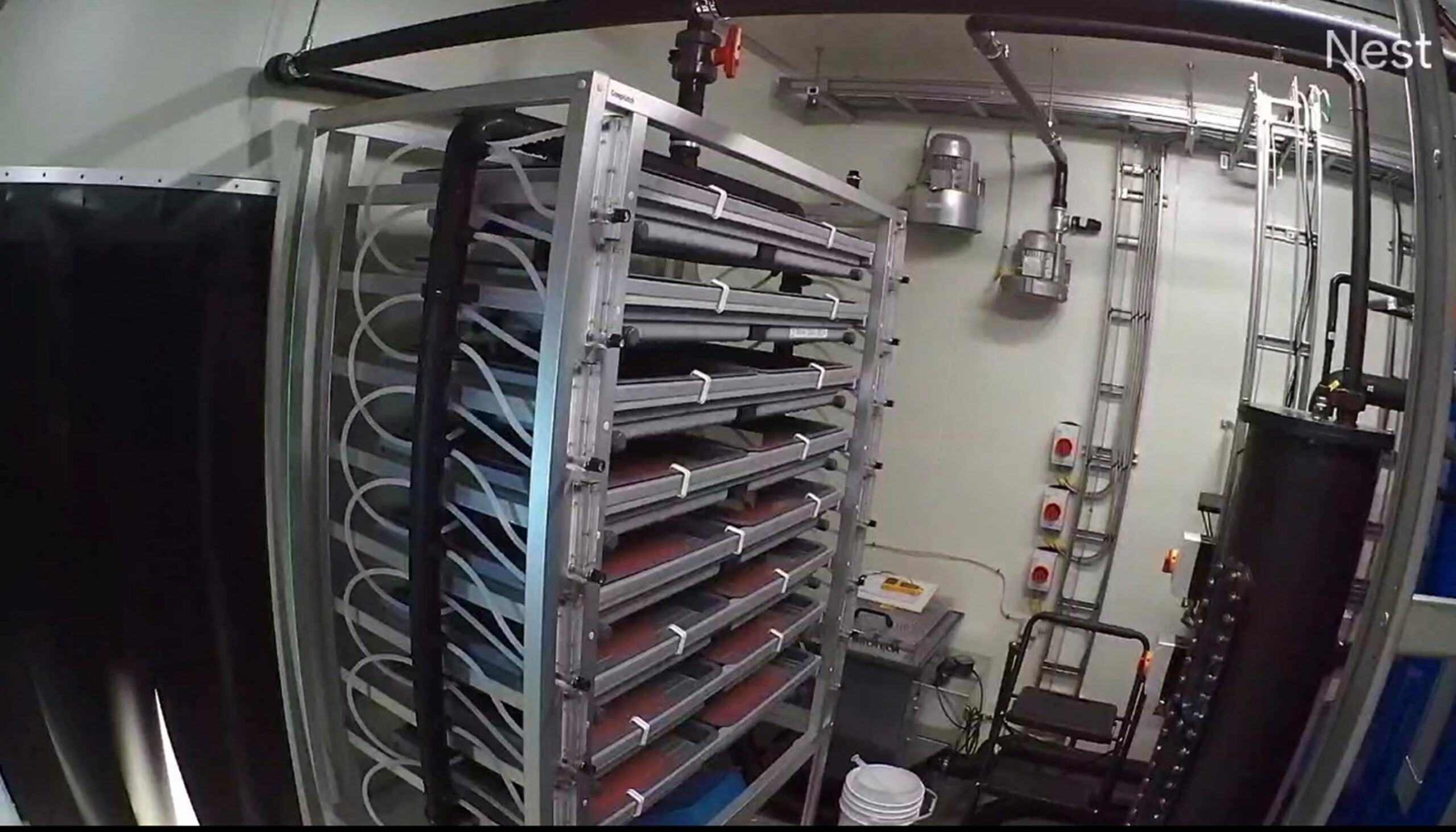 Proximar has initiated salmon production SalmonBusiness