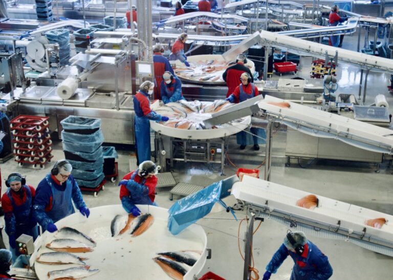 Analyst sees no reason why SalMar should go ahead with the NTS deal