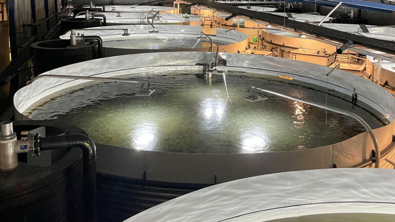 AKVA signs contracts with Icelandic and Norwegian salmon farmers