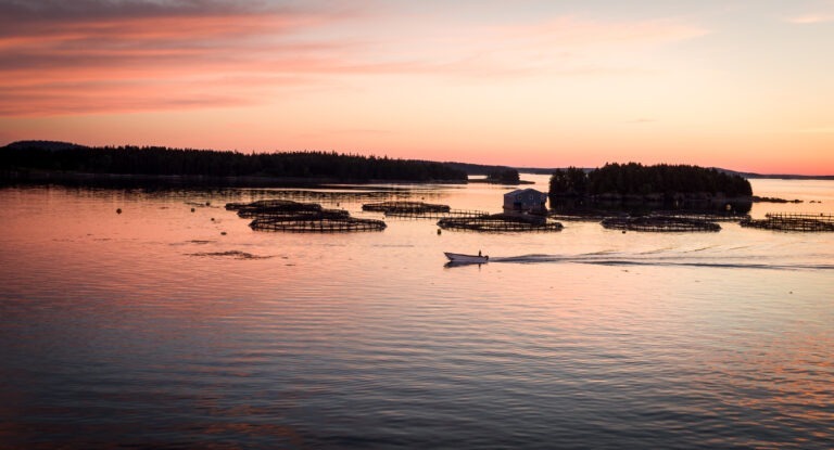 Cooke Aquaculture forced out of Washington State