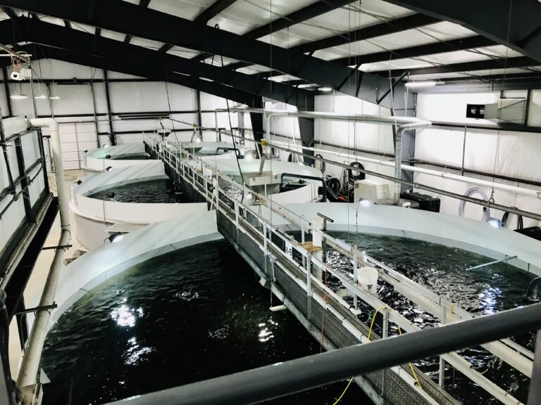 Cooke Aquaculture says it was blindsided by Washington State decision, will explore options to keep operations