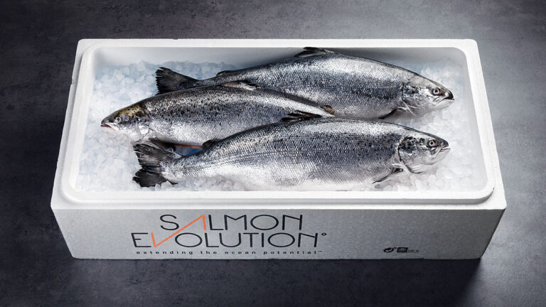 Salmon Evolution: reports Q1 harvest of 1,765 tonnes