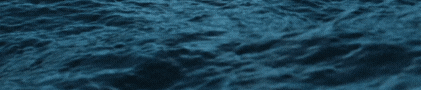 VSF (728 x 90 px)