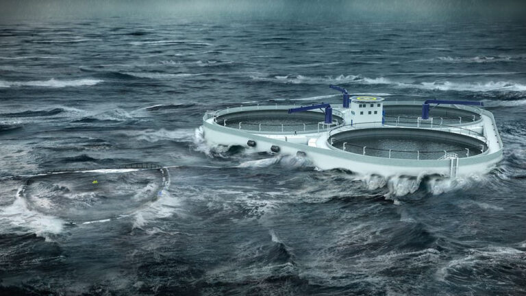 Development licenses granted for $120m offshore salmon farm