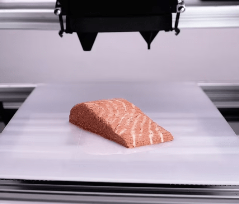 Lab grown 3D-printed “salmon” hits supermarket shelves in Germany
