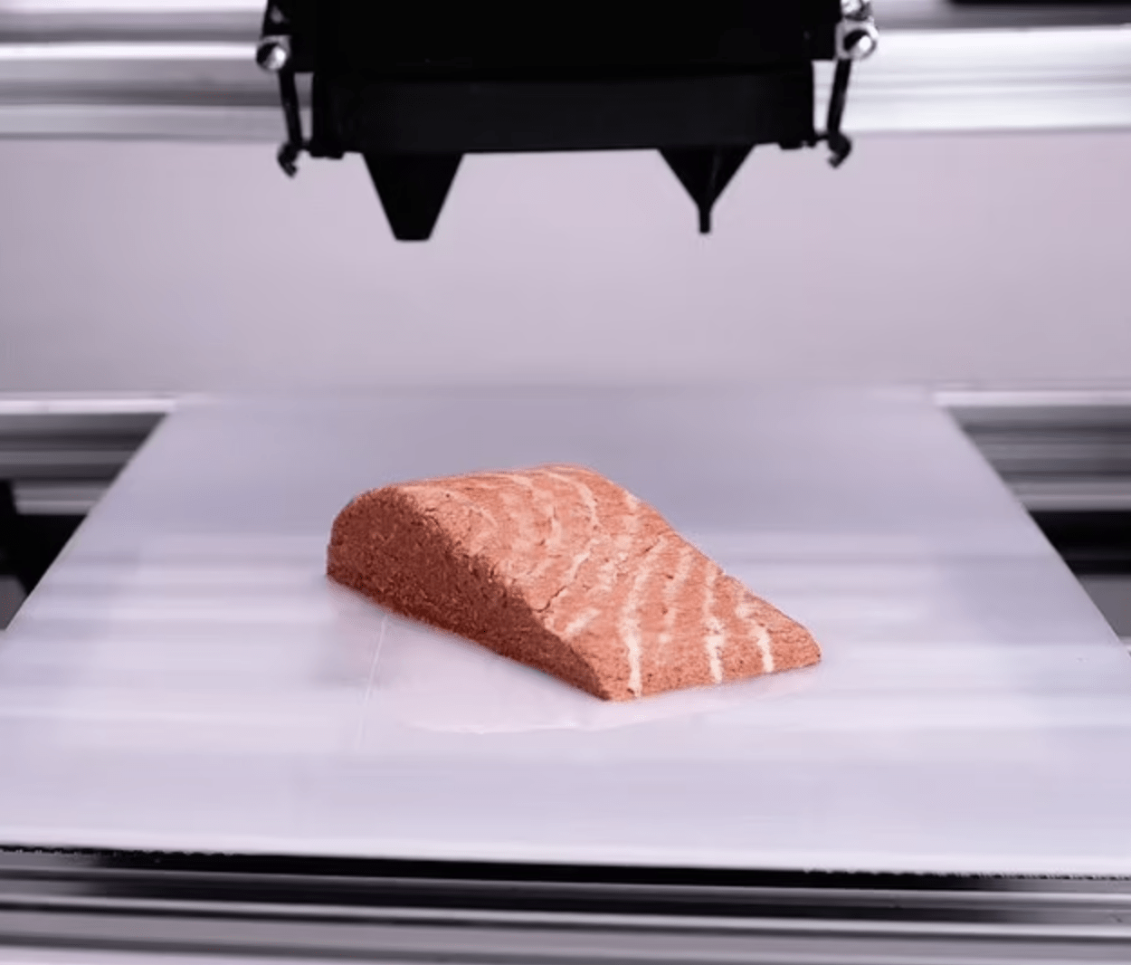 Lab grown 3Dprinted “salmon” hits supermarket shelves in Germany